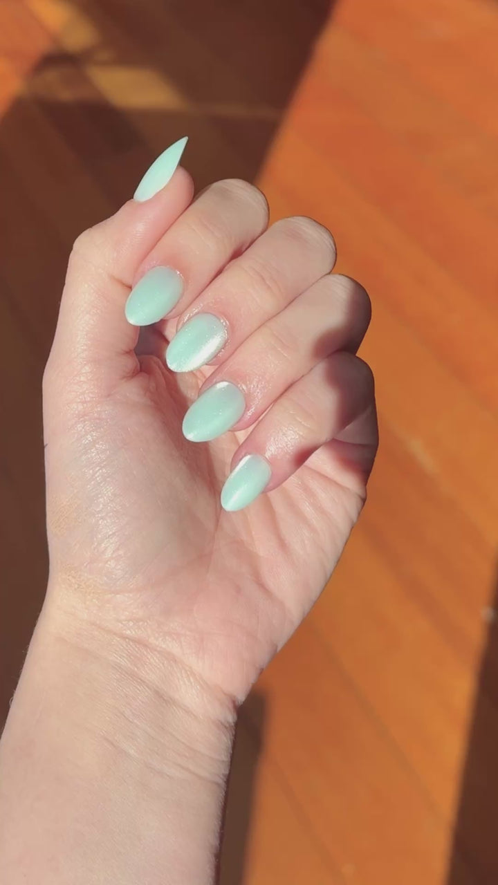 Aqua Beauty (extra short)
